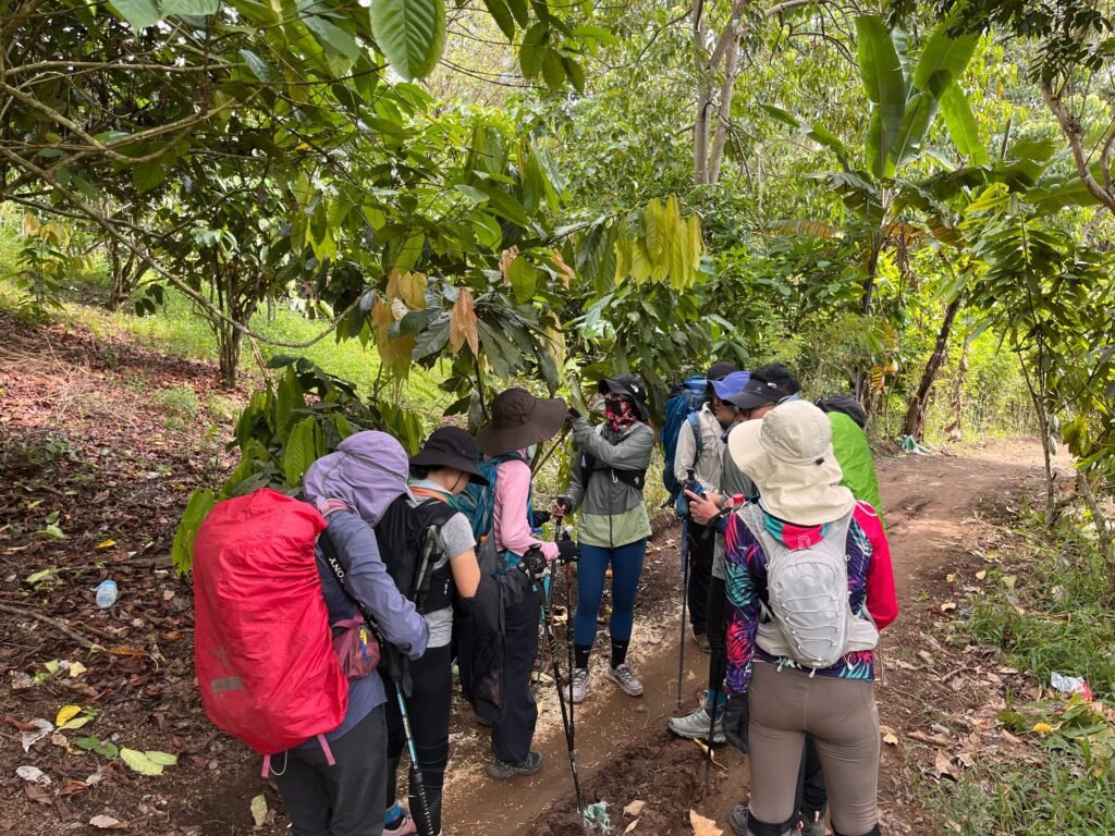 img_6496-Yyv33JkeajCO6GxL